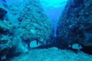 90-Minutes Glass Bottom Trip With Quick Dip - Boarding day feel: what you’ll notice on the boat