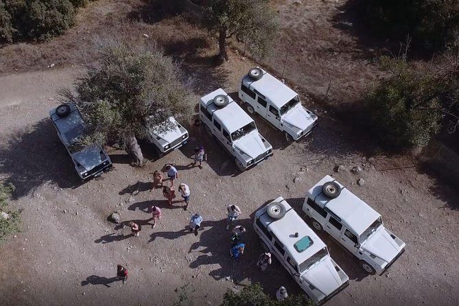 Cruise and 4X4 Safari Tour at Akamas Peninsula from Limassol - Baths of Aphrodite: legend, quick visit, and photo-friendly calm