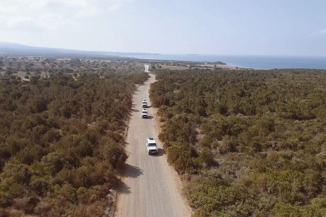 Cruise and 4X4 Safari Tour at Akamas Peninsula from Limassol - Lunch with Cyprus meze: where the day gets fueled