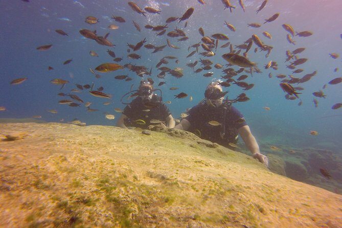 Discover Scuba Diving - Key highlights at a glance