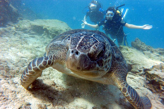Discover Scuba Diving - Ayia Napa is a smart choice for a first scuba session
