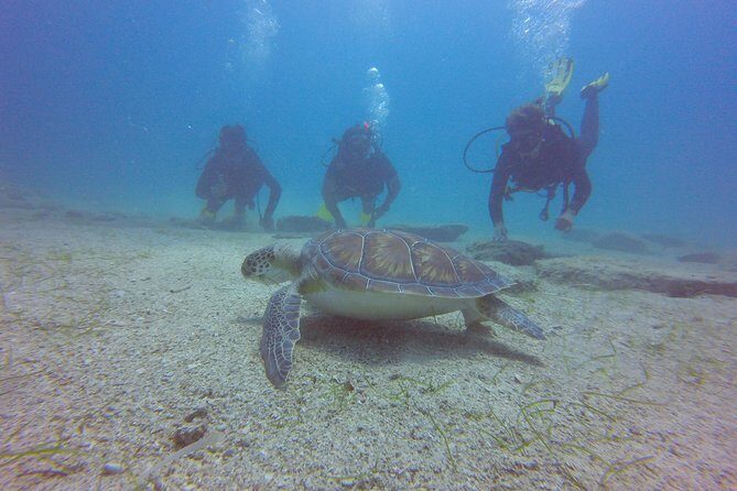 Discover Scuba Diving - What happens during the session (the flow you should expect)