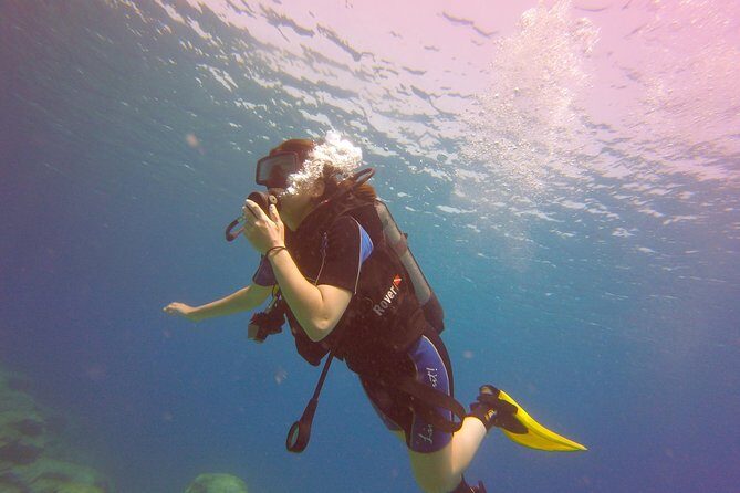 Discover Scuba Diving - Clear water and real underwater sights (what you might see)