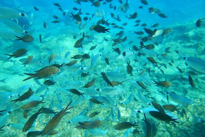 Discover Scuba Diving - Photos and videos: plan for an optional extra