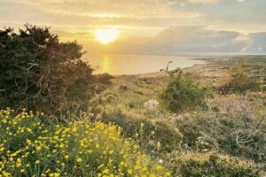 From Larnaca - Cape Greko Highlights Tour (Group of 5 People) - Cape Cavo Greko: first look at Cyprus’s coastline