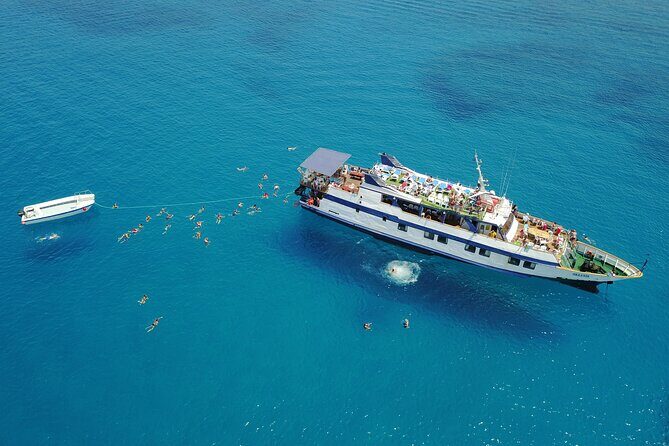 Half-Day Odyssey Guided Boat Safari with Lunch in Cyprus - Key highlights worth your time
