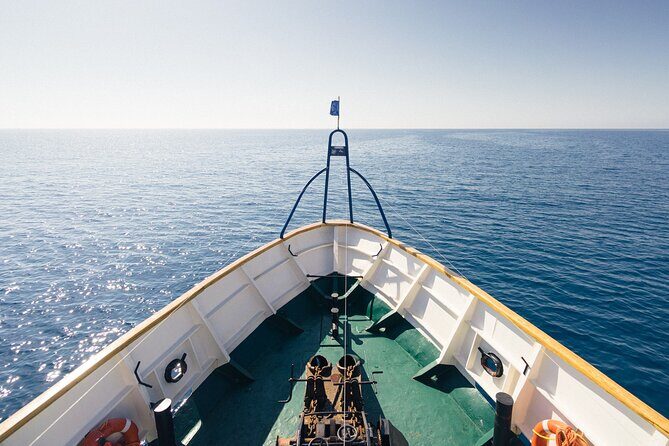 Half-Day Odyssey Guided Boat Safari with Lunch in Cyprus - Getting on board: the vibe, the crew, and why it matters
