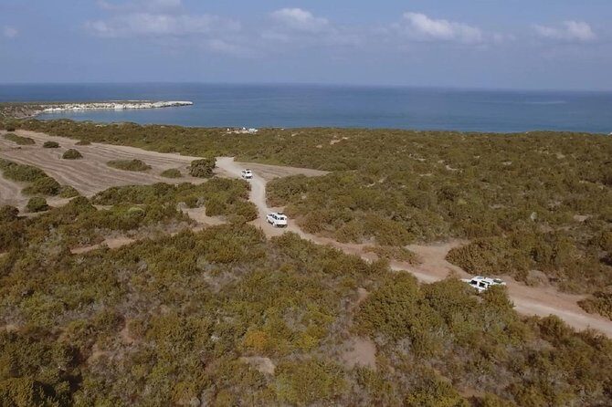 Half day Safari Tour to Akamas Peninsula from Paphos - A Half-Day Akamas Plan That Doesn’t Drag