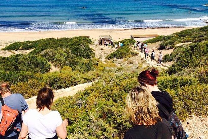 Half day Safari Tour to Akamas Peninsula from Paphos - Avakas Gorge Hike: Short, Guided, and Worth the Shoes