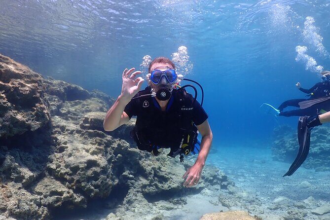 Introductory diving in small groups - Key highlights worth knowing before you go