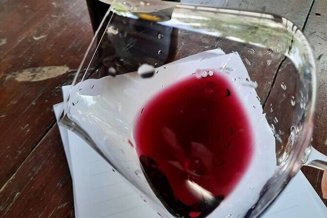 Luxury Wine tasting at your place in Cyprus - Value check: what $112.29 per person is really buying