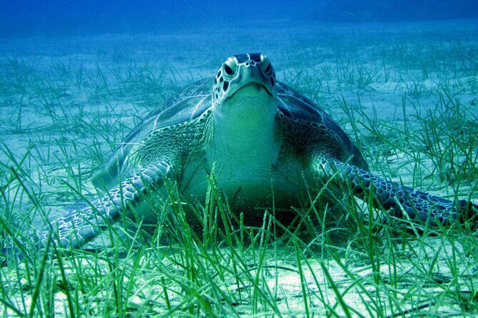 Private Discovery Dive + Photos & Videos - Before you go in: what happens at Poseidon’s centre
