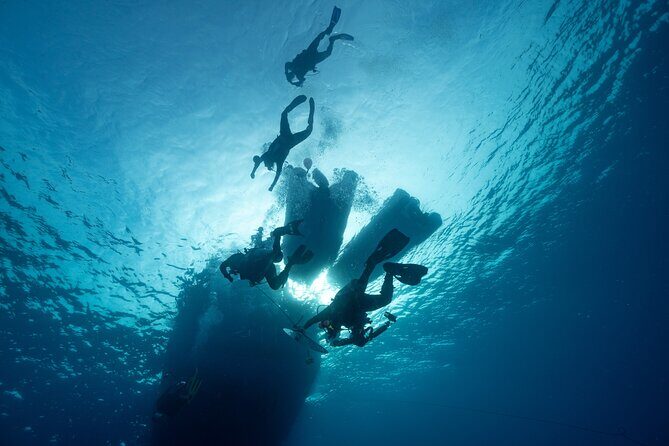 Private Discovery Scuba Diving with Sea Turtles - Safety and Small-Group Attention: Why It Feels Personal