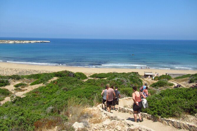 Quad or Buggy Tour from Coral Bay to Akamas Forest - Edro III shipwreck: history with a safety boundary