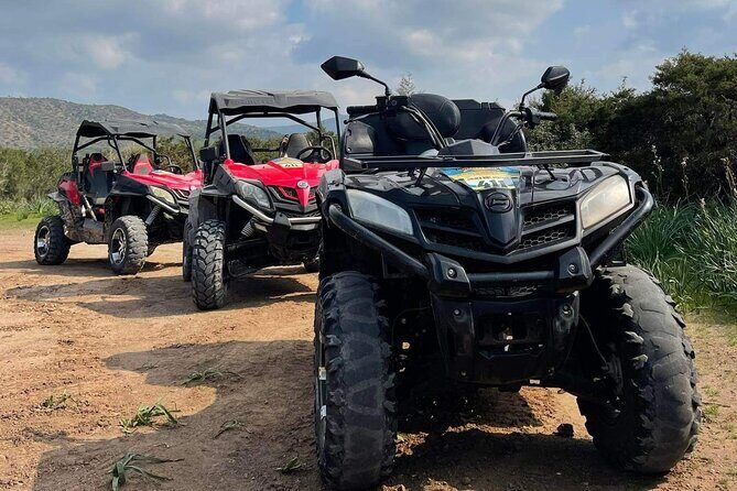 Quad or Buggy Tour from Coral Bay to Lara Bay - Coral Bay Area Start in Peyia: Timing and What You’re Setting Up