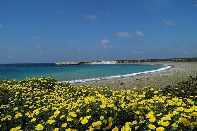 Quad or Buggy Tour from Coral Bay to Lara Bay - Agios Georgios Pegeias: Early Christian Basilicas and Catacomb Clues