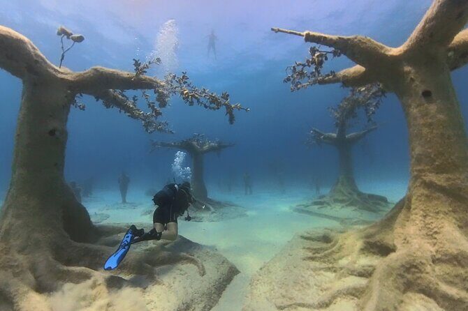 Scuba Diving Experience & MUSAN Dive + Free Edited Video 2xdives - The Intro Skills Session (DSD): Gear, basics, and your first underwater breaths