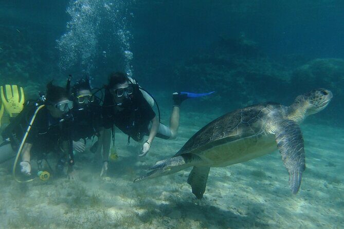 SCUBA DIVING first time experience - Part 2: Shallow-water practice that teaches breathing and basics