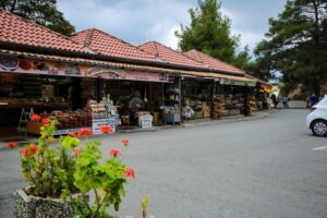 Tour to Troodos, Kykkos Monastery, Omodos and Winery from Paphos - Getting picked up in Paphos without the stress