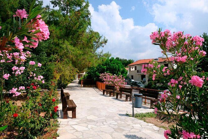 Troodos Jeep Safari from Protaras,Ayia napa & Larnaca - Key highlights you’ll care about