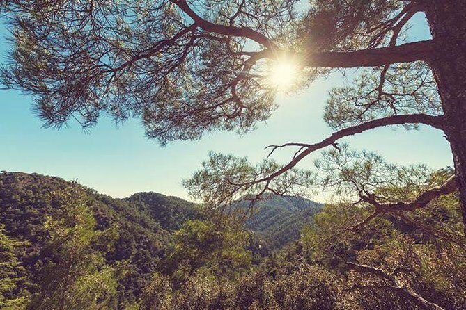 Troodos Jeep Safari from Protaras,Ayia napa & Larnaca - The day’s pace: a full 9 hours with real stops, not constant driving