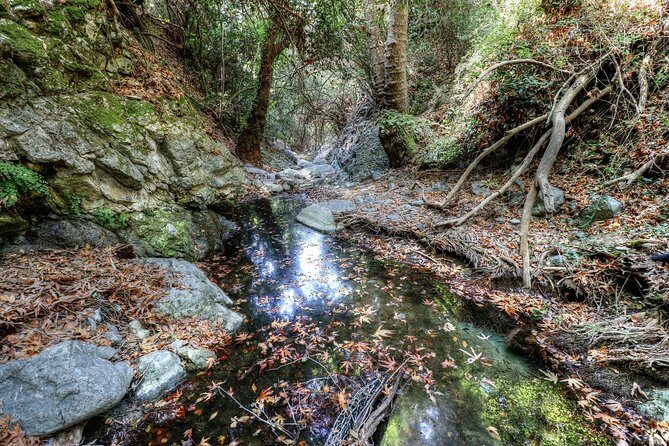 Troodos Jeep Safari from Protaras,Ayia napa & Larnaca - Stop 2: Chantara Waterfall and the 3-level cool-down