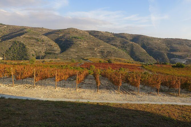 Troodos Mountains Grape Escape: All Inclusive Food & Wine Tour - Bonus stop and scenic views: the payoff for a full day