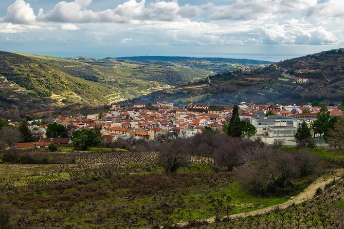 Troodos Mountains Grape Escape: All Inclusive Food & Wine Tour - Winery tours: what you’re actually paying for