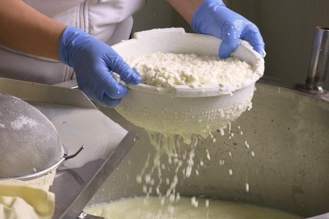 Troodos Mountains Halloumi Making: All Inclusive Workshop & Tour - The hands-on halloumi and anari workshop: you actually make it