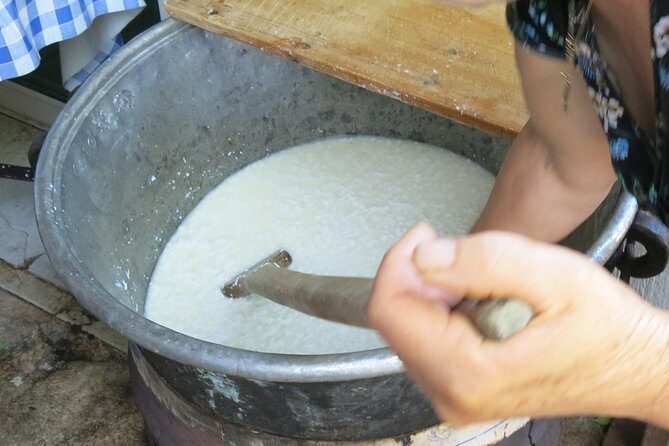 Troodos Mountains Halloumi Making: All Inclusive Workshop & Tour - Small-group pacing: why this feels more personal than a bus tour