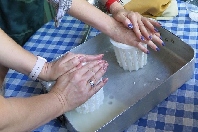 Troodos Mountains Halloumi Making: All Inclusive Workshop & Tour - Price and value: what $142.41 buys you in Troodos