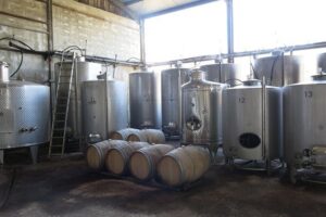 Troodos Mountains Vino Venture: All Inclusive Full Day Wine Tour - Omodos village stop: craft browsing plus a proper meze lunch
