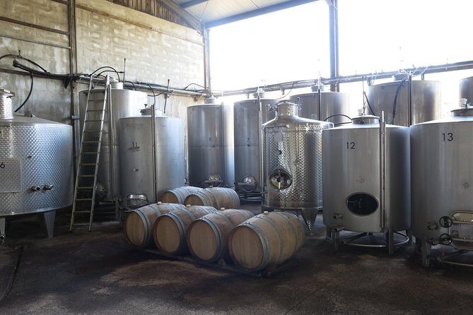 Troodos Mountains Vino Venture: All Inclusive Full Day Wine Tour - Tsangarides, Ezousa, and Vasilikon: comparing styles without feeling rushed