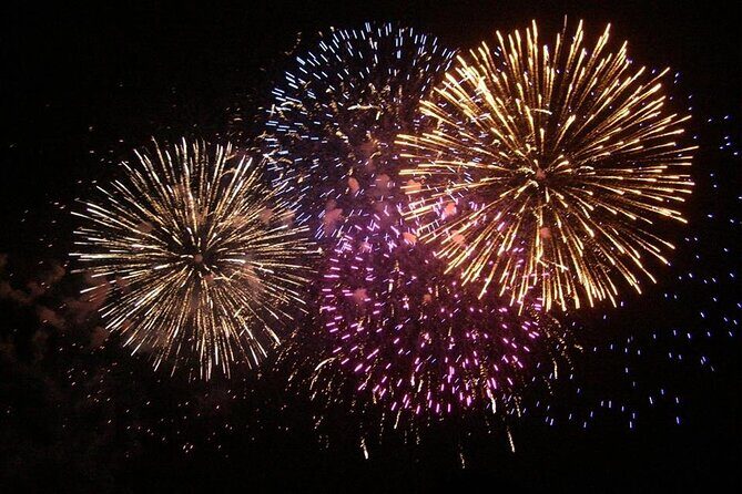 Wave Dancer Deluxe Night Cruise with Fireworks - Adults Only - Food and Service: What You’ll Get Besides the Slogans