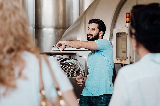 Wine tasting and winery tour at Fikardos Winery - What to look for during your tasting (so you remember it)