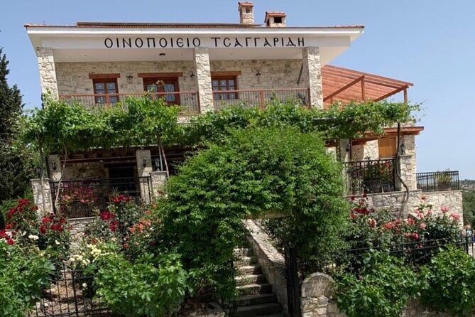 Wine Tasting and Winery Tour in Lemona Village, Paphos - Key highlights you should know before you go