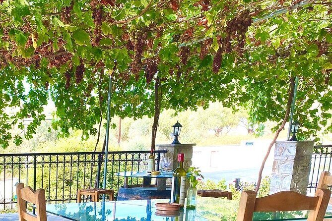 Wine Tasting and Winery Tour in Lemona Village, Paphos - Price and logistics: what you pay and what you manage