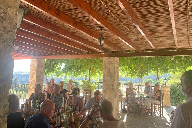 Wine Tasting and Winery Tour in Lemona Village, Paphos - Who this is best for (and who should consider another option)