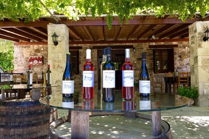 Wine Tasting and Winery Tour in Lemona Village, Paphos - Should you book this Lemona wine tasting?